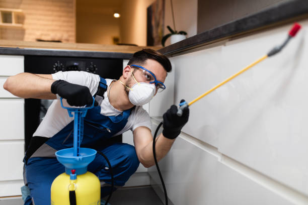 Trusted Kings Park West, VA Pest Control Experts