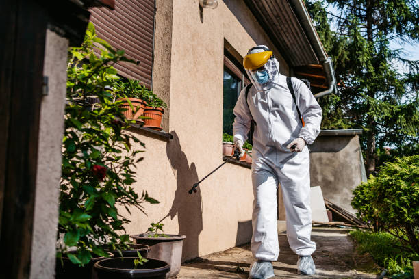 Best Pest Removal Services  in Kings Park West, VA