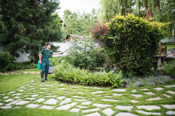 Best Ant Control Services  in Kings Park West, VA
