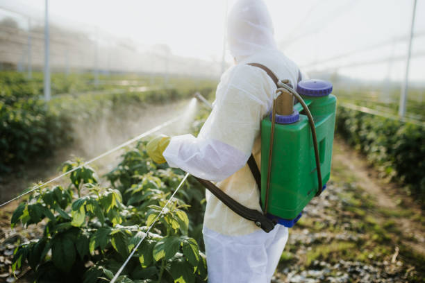 Flea Control Services in Kings Park West, VA